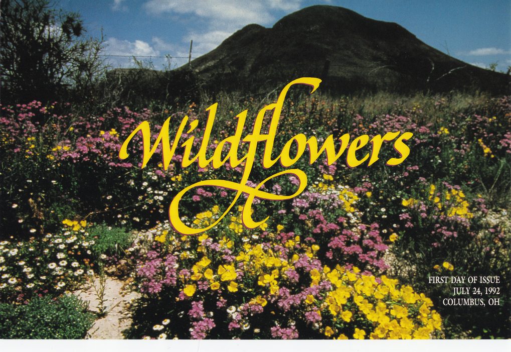 Wildflowers Ceremony Program