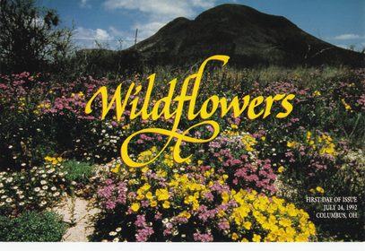 Wildflowers Ceremony Program