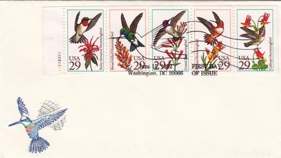 Hummingbirds booklet