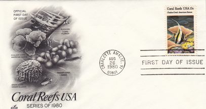 Chalice Coral in American Samoa