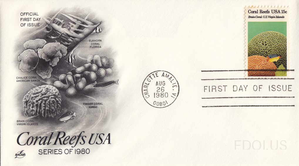 Brain Coral, US Virgin Islands