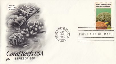 Brain Coral, US Virgin Islands