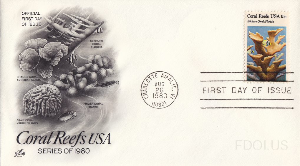 Elkhorn Coral in Florida